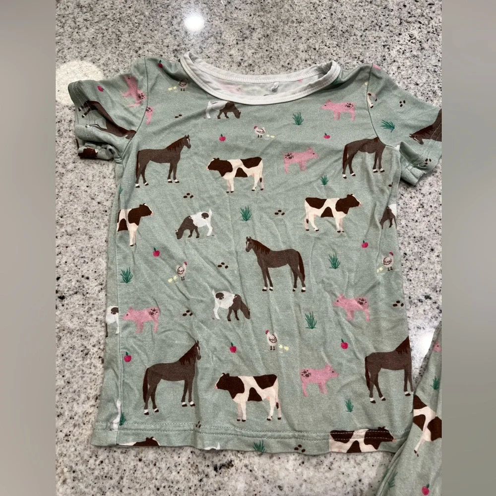 Bamboo Pajamas 2T - Picture 3 of 7